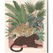 Majestic Cats by Janelle Penner 12" x 15" Canvas Wall Art (Set of 2)